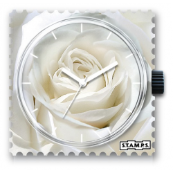 Cadran Rose blanche STAMPS